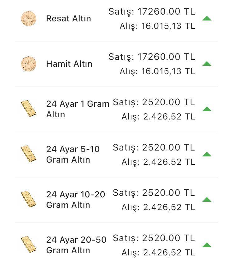 Konya’da altın fiyatları ve güncel döviz kurları I 20 Haziran 2024 10